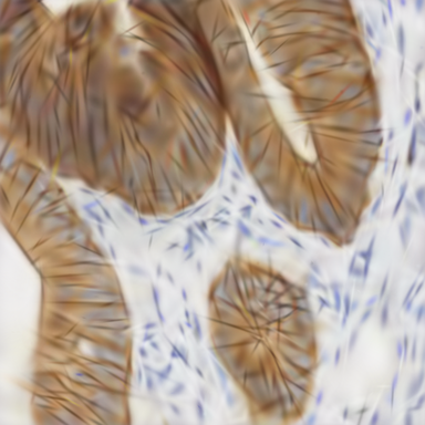 immunohistochemistry deck rendered by real PowerPoint