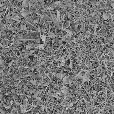 grass source image